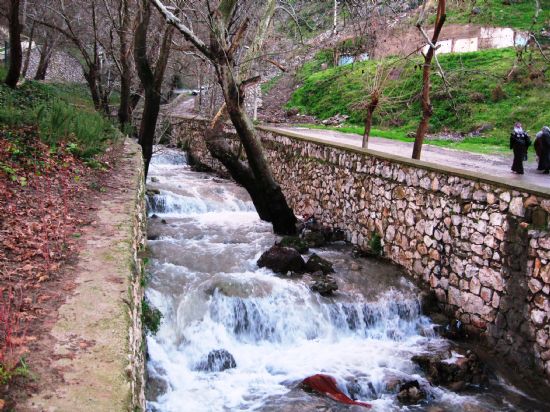 Manisa Spil Da Etekleri.