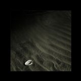 Revenge Darkness foto�raflar� foto�raf galerisi. 