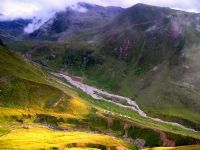 �aml�k Yaylas�