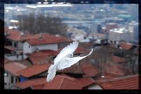 Kanatlarn Altnda Ankara - Fotoraf: Doan  Erhan Ersoy fotoraflar fotoraf galerisi. 