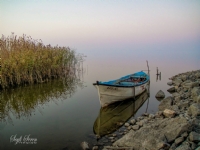 Manyas Kuş Gölü - Fotoğraf: Seyfi Şeren fotoğrafları fotoğraf galerisi. 