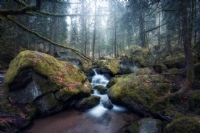 Black Forest - Fotoğraf: Serkan Alay fotoğrafları fotoğraf galerisi. 