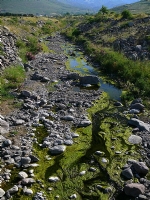 Dere - Foto�raf: Hakk� U�kun foto�raflar� foto�raf galerisi. 