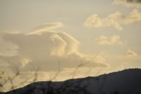 fkeli Ku Bulutlara Gizlenmi - Fotoraf: Cihangir Erenolu fotoraflar fotoraf galerisi. 