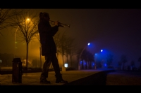 Night Trumpeter - Fotoraf: Fatih Yrr fotoraflar fotoraf galerisi. 