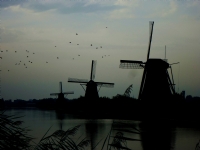 Kinderdijk - Fotoraf: Seluk Adem zdemir fotoraflar fotoraf galerisi. 