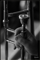 Trombone - Fotoraf: Enver Aydn fotoraflar fotoraf galerisi. 