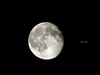 Moon Light - Fotoraf: Ali Osman Aslan fotoraflar fotoraf galerisi. 