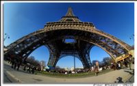 Eiffel Halleri 1