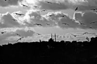 Istanbul - Fotoraf: Gamze Keser fotoraflar fotoraf galerisi. 