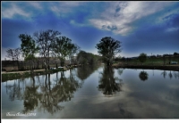 Edirne Tunca Nehri - Fotoraf: Burcu Art fotoraflar fotoraf galerisi. 