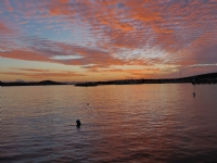 Ayval�k G�n Bat�m�