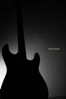 Stratocaster - Fotoraf: Hasim Aygun fotoraflar fotoraf galerisi. 