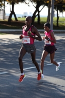 Maraton 2013