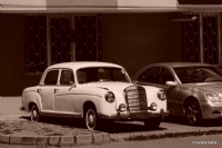 Minicikshayatlar ” Mercedes Phonton” - Fotoraf: Mustafa Balta fotoraflar fotoraf galerisi. 