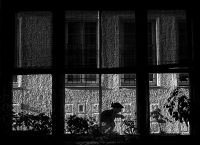 Penceremden Geenler - Fotoraf: Mehmet Teoman fotoraflar fotoraf galerisi. 
