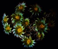 Cyan Fractal Eternity Flowers