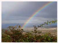 Rainbow - Fotoraf: Egemen en fotoraflar fotoraf galerisi. 