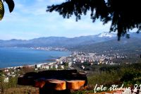 Beikdz Trabzon