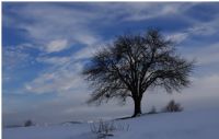 Kar st Yalnzlk - Fotoraf: Murat Aydn fotoraflar fotoraf galerisi. 