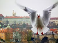 Prag’da Bir Hayalet - Fotoraf: Gull Bar fotoraflar fotoraf galerisi. 
