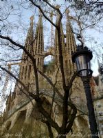 Sagrada Familia - Fotoraf: zgr Teke fotoraflar fotoraf galerisi. 