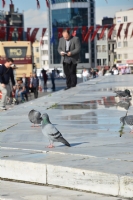 Gezi Park Merdivenleri - Fotoraf: Bahtiyar Bekdemir fotoraflar fotoraf galerisi. 