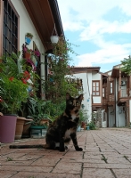 Eski Ankara