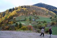 Yayla ocuklar