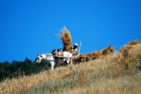 Emek - Fotoraf: Mustafa Korkmaz fotoraflar fotoraf galerisi. 