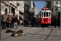 Yllar Ve stanbul - Fotoraf: Hamit Bozta fotoraflar fotoraf galerisi. 