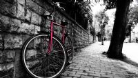 Bisiklet - Fotoraf: Bayram Grzolu fotoraflar fotoraf galerisi. 