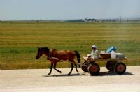 Urfa’dan