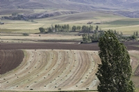 Sar Ve Yeil - Fotoraf: Hseyin Batal fotoraflar fotoraf galerisi. 