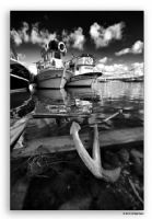Deniz Bitti - Fotoraf: Erol Ardaman fotoraflar fotoraf galerisi. 