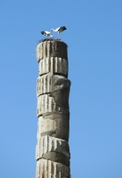 Artemis Tap�na��n�n Leylekleri