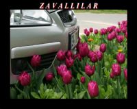 Zavalllar - Fotoraf: Hakan Ural fotoraflar fotoraf galerisi. 