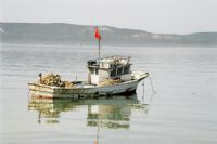 Balkc Teknesi - Fotoraf: Kamuran Gltekin fotoraflar fotoraf galerisi. 