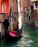Venice - Fotoraf: Gull Bar fotoraflar fotoraf galerisi. 