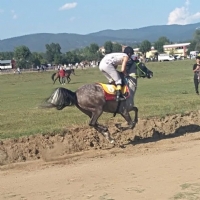 Daday Zafer Bayramı At Yarışları