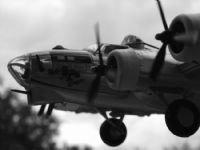 B-17 - Foto�raf: Cihan Apaydin foto�raflar� foto�raf galerisi. 