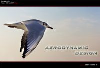 Aerodynamic Design - Fotoraf: Sheyl Gnaydn... fotoraflar fotoraf galerisi. 