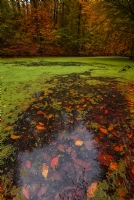 Yedi Gller - Bolu - Fotoraf: Murat Tok fotoraflar fotoraf galerisi. 