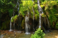 Kuzalan elalesi - Fotoraf: Hulusi Tezcan fotoraflar fotoraf galerisi. 