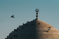 ...  ::: Kubbe ::: ...