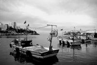 Koyu Bir Liman - Fotoraf: Bar Kaya Gleryz fotoraflar fotoraf galerisi. 