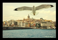 Gzel stanbul..