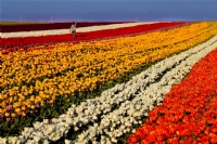 G�n�l �ay�rlar�m�z� Dolduran Renklerle....