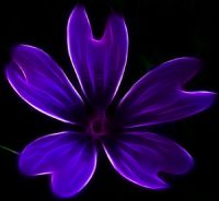 Dream Of Lilac Hole Radiation