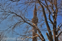 Minare - Fotoraf: Mehmet Akta fotoraflar fotoraf galerisi. 